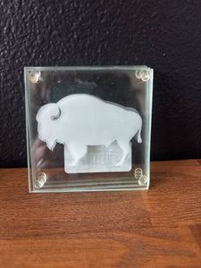 Bison and Steamboat Glass Coasters