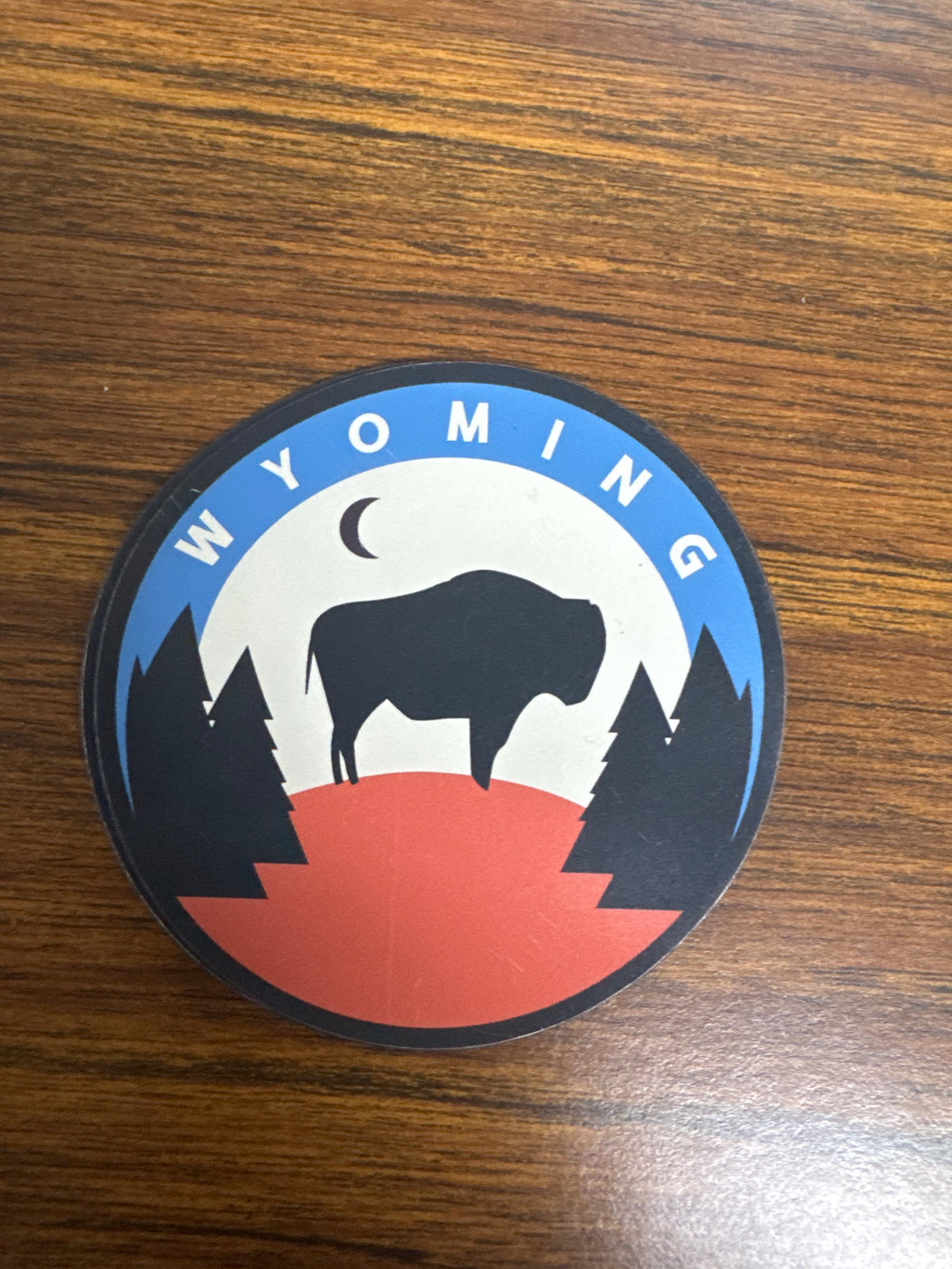 Wyoming bison moon Magnet