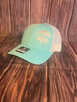 Bison Moon Embroidered Hat/ Aruba Blue/ Birch