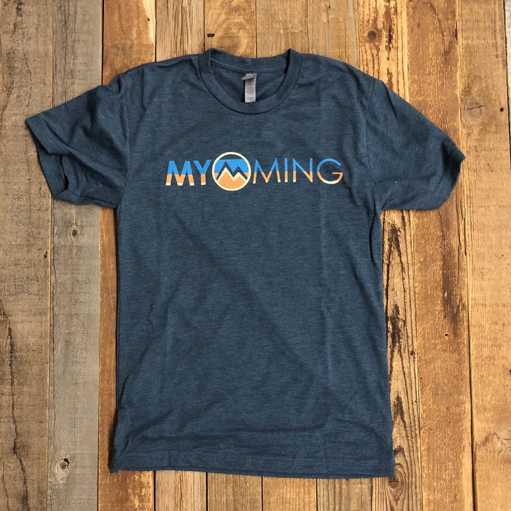 Men's Myoming Stripes- Indigo